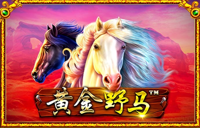 天天娱乐welcome平台登录